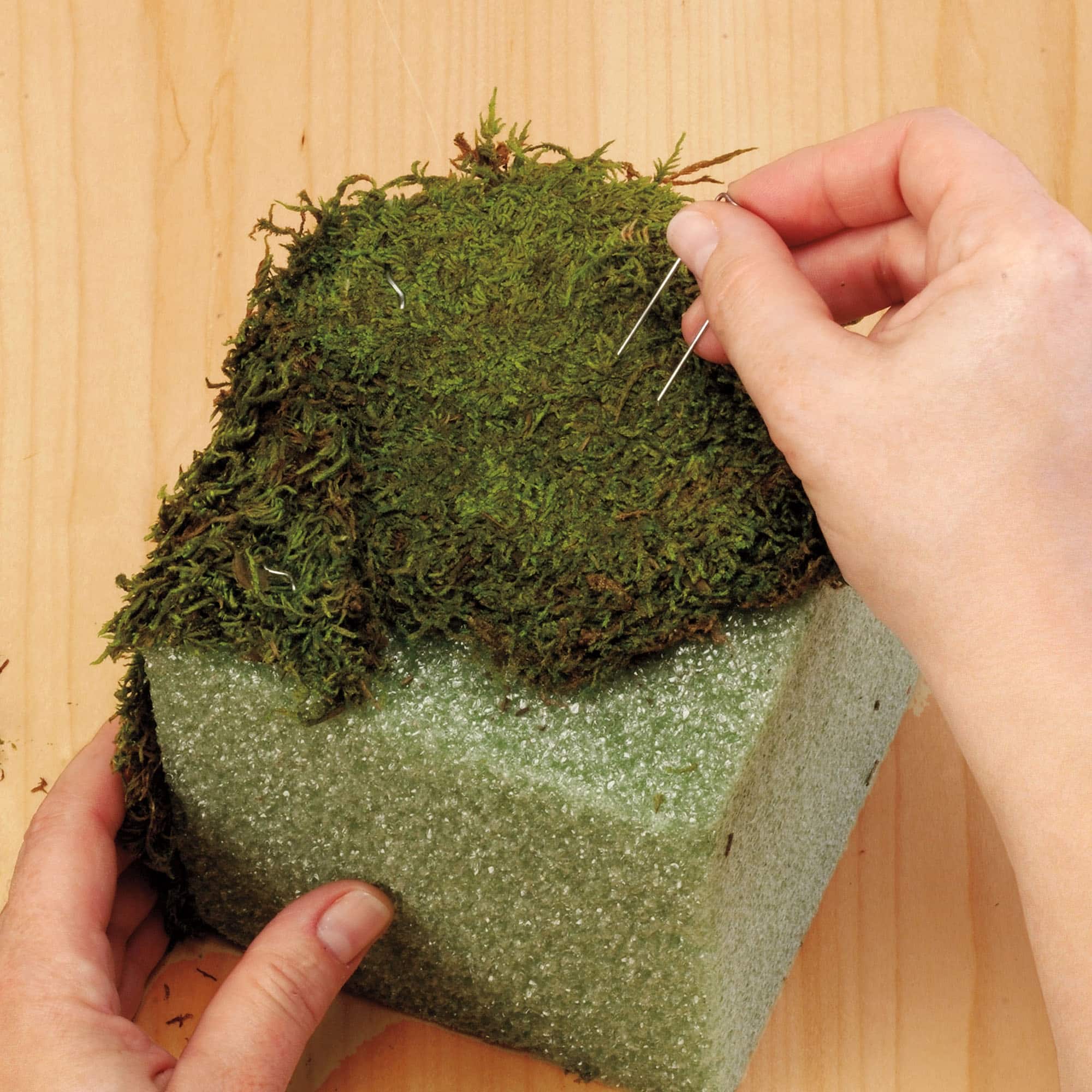 FloraCraft® 1.75" Greening Pins, 5lb.